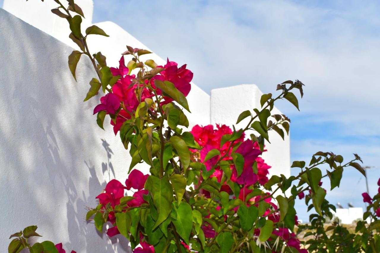Apanema Paros Apartament Nausa