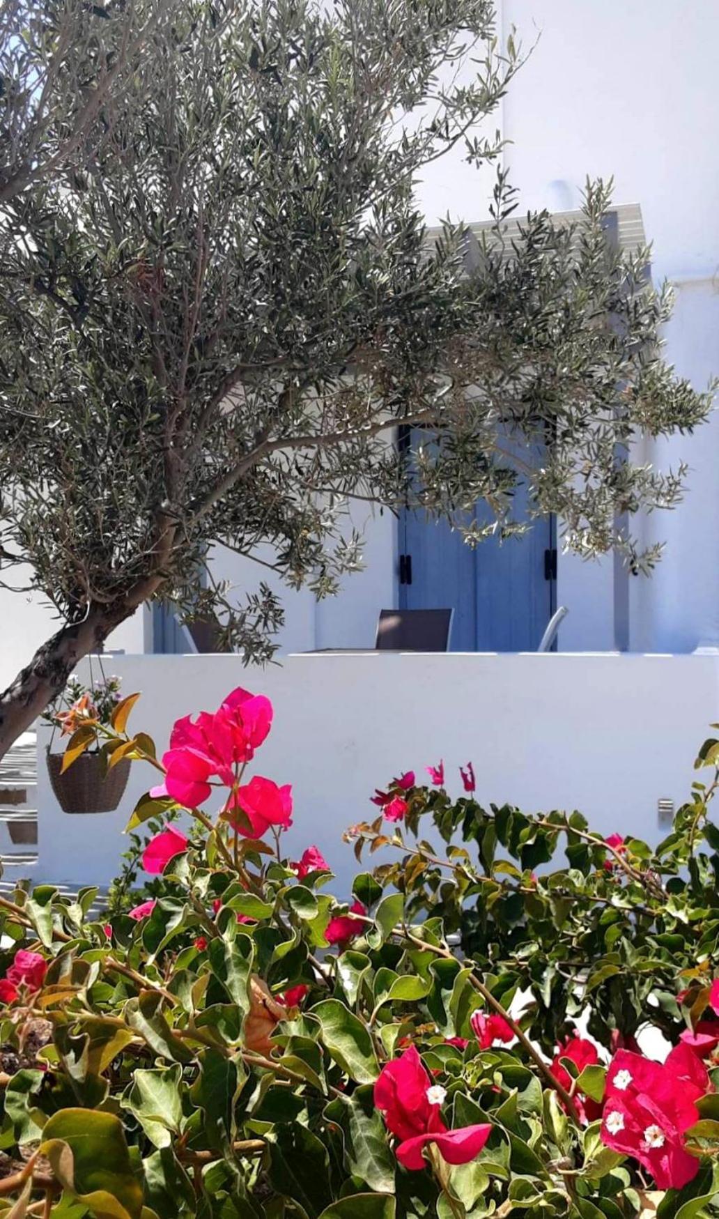 Apanema Paros Apartament