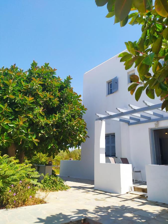 Apanema Paros *